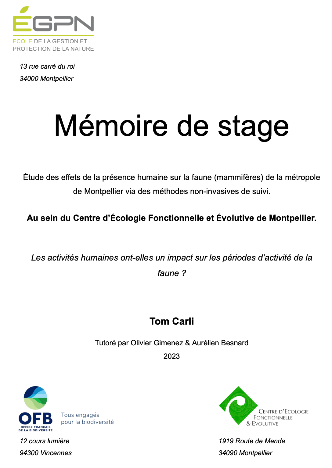 page de couverture du mémoire de Bachelor de Tom Carli