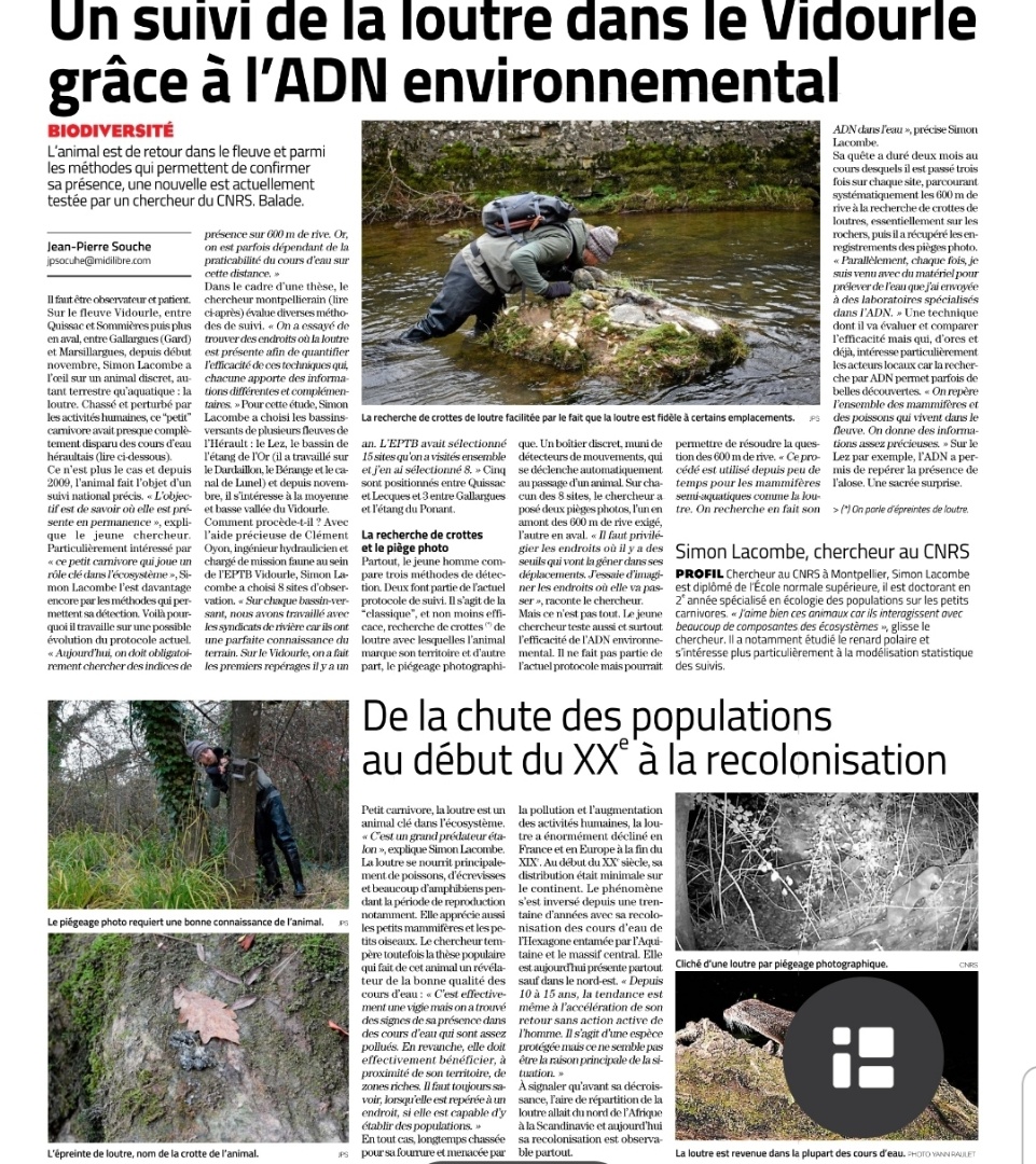article